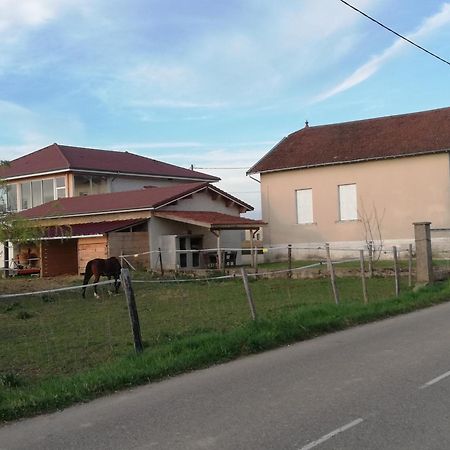 Maison De 100M2 Au Coeur D'Une Pension Equestre Les Sabots De Nina Marcollin エクステリア 写真